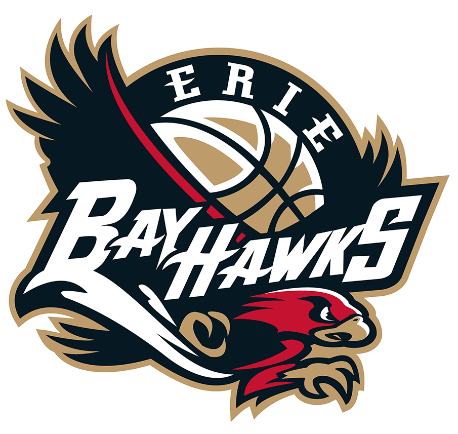 Erie BayHawks 2019-Pres Primary Logo iron on heat transfer